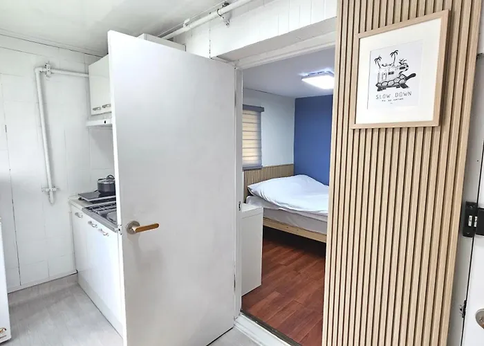 Nest Seoel